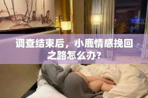 调查结束后，小鹿情感挽回之路怎么办？