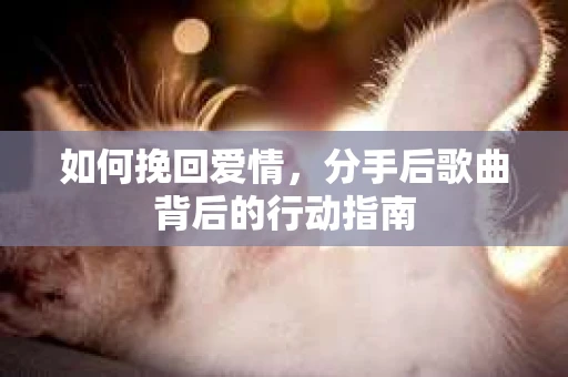 如何挽回爱情,分手后歌曲背后的行动指南 如何挽回爱情,分手后歌曲背后的行动指南