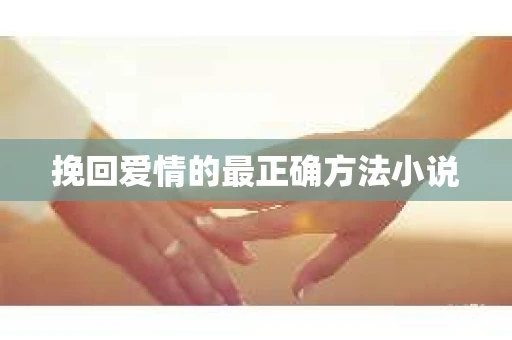 挽回爱情的最正确方法小说