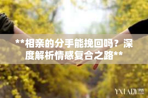 **相亲的分手能挽回吗？深度解析情感复合之路**