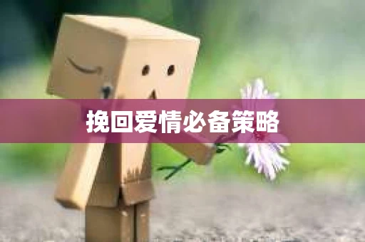 挽回爱情必备策略