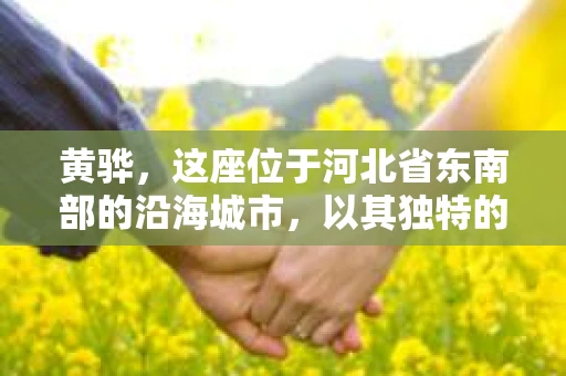 黄骅，这座位于河北省东南部的沿海城市，以其独特的地理位置和丰富的历史文化而闻名。然而，在这座城市中，还有一群人，他们以另一种方式默默守护着社会的公平与正义——私家侦探。今天，我们就来聊聊黄骅的私家侦探，看看他们是如何在这个城市中发挥作用的。