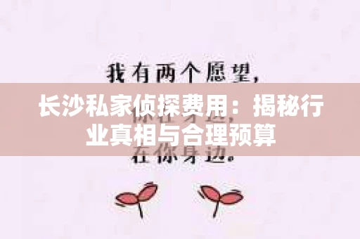 长沙私家侦探费用：揭秘行业真相与合理预算