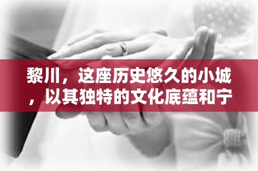 黎川，这座历史悠久的小城，以其独特的文化底蕴和宁静的生活节奏吸引着无数游客。然而，在这样一个看似平静的城市里，你是否会好奇，有没有私家侦探机构的存在呢？今天，就让我带你一探究竟。