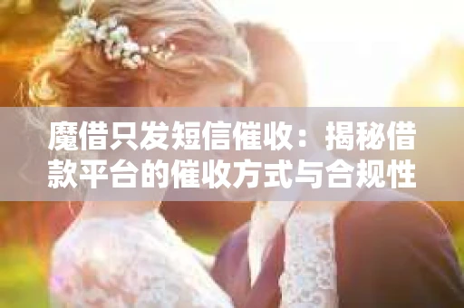 魔借只发短信催收：揭秘借款平台的催收方式与合规性