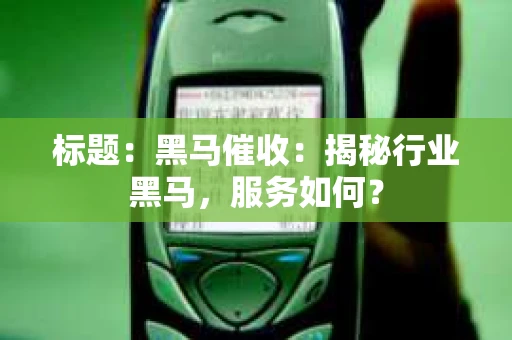 标题：黑马催收：揭秘行业黑马，服务如何？
