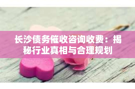 长沙债务催收咨询收费：揭秘行业真相与合理规划