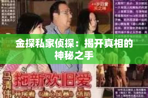 金探私家侦探：揭开真相的神秘之手