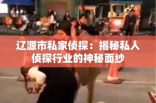 辽源市私家侦探：揭秘私人侦探行业的神秘面纱