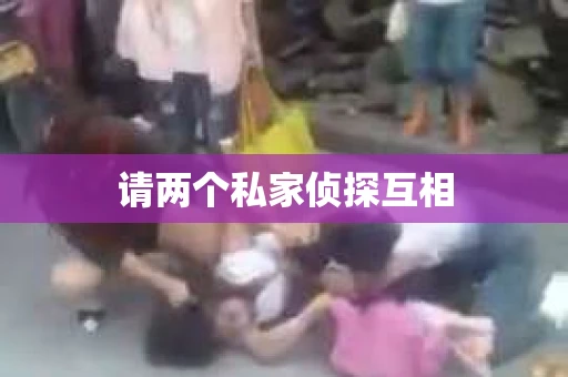 请两个私家侦探互相