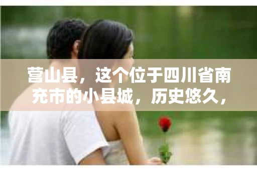 营山县，这个位于四川省南充市的小县城，历史悠久，风景秀丽。但在这个宁静的小县城里，你是否会好奇，有没有私家侦探的存在呢？今天，我就来和大家聊聊这个话题。