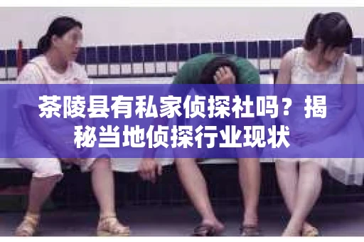 茶陵县有私家侦探社吗？揭秘当地侦探行业现状