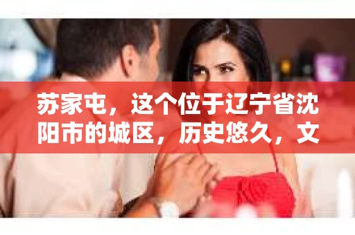 苏家屯，这个位于辽宁省沈阳市的城区，历史悠久，文化底蕴深厚。近年来，随着社会的发展，人们对于私家侦探的需求也逐渐增加。那么，苏家屯有私家侦探吗？今天，我们就来聊聊这个话题。