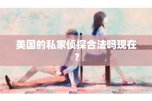 美国的私家侦探合法吗现在？