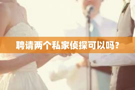 聘请两个私家侦探可以吗？