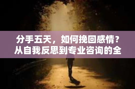 分手五天,如何挽回感情?从自我反思到专业咨询的全面解决方案 分手五天,如何挽回感情?从自我反思到专业咨询的全面解决方案