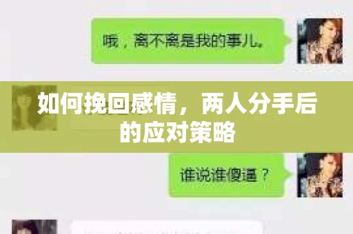 如何挽回感情,两人分手后的应对策略 如何挽回感情,两人分手后的应对策略
